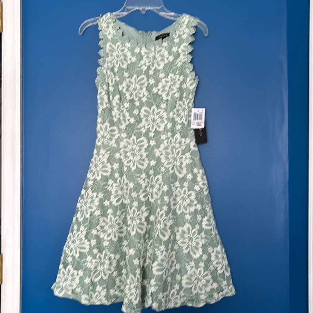 City studio aline lace dress size 1 nwt sage green in color